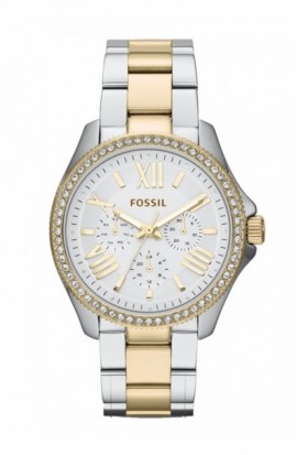Watch Fossil Cecile AM4543
