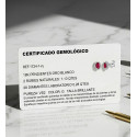18K PENDIENTES ORO BLANCO 28 DIAMANTES LABORATORIO Y RUBI 6X4 MM 1,10 QT 0,28 QTS. VS2-G CIERRE PRESION 9,5X8 MM 18K PENDIENTES ORO BLANCO 28 DIAMANTES LABORATORIO Y RUBI 6X4 MM 1,10 QT 0,28 QTS. VS2-G CIERRE PRESION 9,5X8 MM