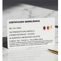 18K PENDIENTES ORO AMARILLO RUBI NATURAL 6X4 MM 1,00QT Y DIAMANTES LABORATORIO 0,280QT VS-2 G. 10X8 MM CIERRE PRESION 18K PENDIENTES ORO AMARILLO RUBI NATURAL 6X4 MM 1,00QT Y DIAMANTES LABORATORIO 0,280QT VS-2 G. 10X8 MM CIERRE PRESION