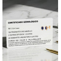 18K PENDIENTES ORO AMARILLO ZAFIRO DIFUSION 6X4 MM 1,24 QT Y 28 DIAMANTES LABORATORIO 0,280QT VS2-G. 9,5X8 MM CIERRE PRESION 18K PENDIENTES ORO AMARILLO ZAFIRO DIFUSION 6X4 MM 1,24 QT Y 28 DIAMANTES LABORATORIO 0,280QT VS2-G. 9,5X8 MM CIERRE PRESION