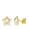 18K PENDIENTES BICOLOR ESTRELLA 8X8 MM CIERRE PRESION 18K PENDIENTES BICOLOR ESTRELLA 8X8 MM CIERRE PRESION