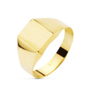 18K SELLO ORO AMARILLO HUECO Y LISO CADETE ZONA GRABADO 10X8 MM 18K SELLO ORO AMARILLO HUECO Y LISO CADETE ZONA GRABADO 10X8 MM