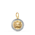 18K MEDALLA ORO BICOLOR MEDUSA GRECA EN BRILLO. MEDIDA: 15 MM 18K MEDALLA ORO BICOLOR MEDUSA GRECA EN BRILLO. MEDIDA: 15 MM