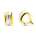 9K PENDIENTES ORO BICOLOR BANDAS MATE Y BRILLO. MEDIDA: 15 X 9 MM. CIERRE OMEGA 9K PENDIENTES ORO BICOLOR BANDAS MATE Y BRILLO. MEDIDA: 15 X 9 MM. CIERRE OMEGA