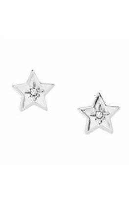Earings Fossil JA6001040