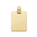 PLACA CHAPA LISA 24X17 MM 3.70 GR