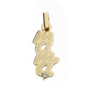 9K COLGANTE ORO AMARILLO MADRE SILUETA 1C GARRA LASER