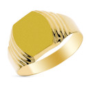 9K SELLO ORO AMARILLO CABALLERO HUECO. ZONA DE GRABADO 12X11 MM