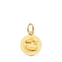 18K MEDALLA ORO AMARILLO HOROSCOPO ORO AMARILLO ORO AMARILLO PISCIS MATIZADA 13 MM