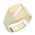 9K SELLO ORO AMARILLO BANDA ORO BLANCO HUECO EN BRILLO. ZONA GRABADO: 15X10,5 MM