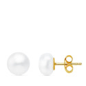 18K PENDIENTES PERLA BOTON ORO AMARILLO 7 MM CIERRE PRESION
