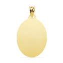 9K PLACA CHAPA OVAL ORO AMARILLO BRILLO 26X20 MM 9K PLACA CHAPA OVAL ORO AMARILLO BRILLO 26X20 MM